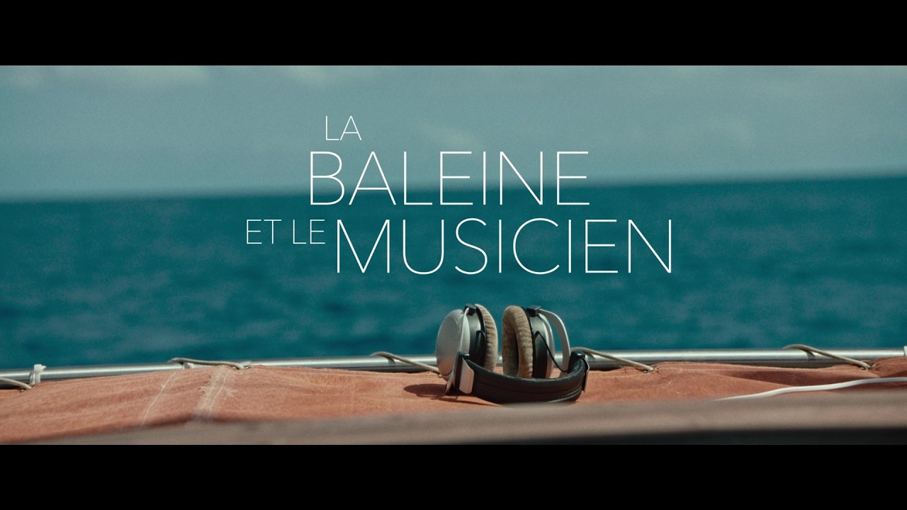 La Baleine et le musicien (2026) - Bande annonce HD