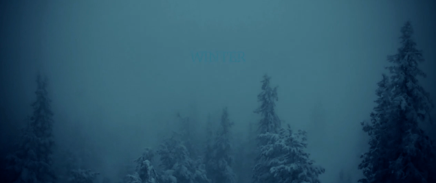 Un hivers en Finlande 99