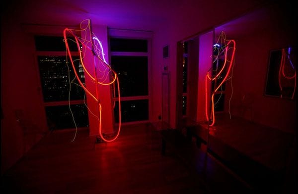 From Liquid Neons to Rotograms - Julio Cesar Gonzalez 9