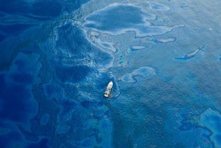 Une marée noire en photo par Kris Krug