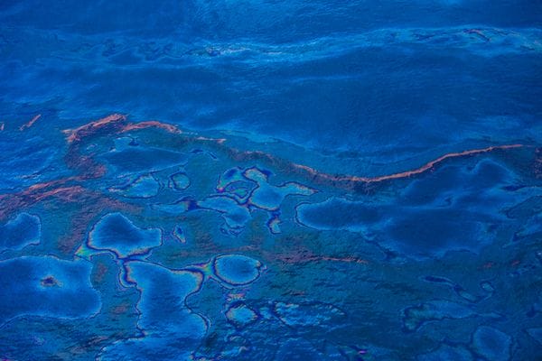 Une marée noire en photo par Kris Krug 12
