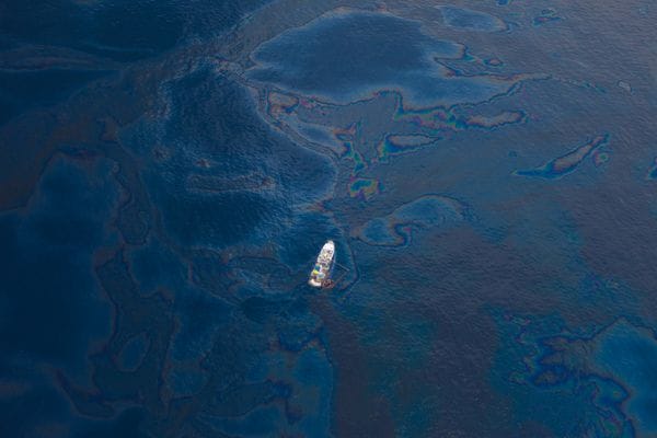 Une marée noire en photo par Kris Krug 27