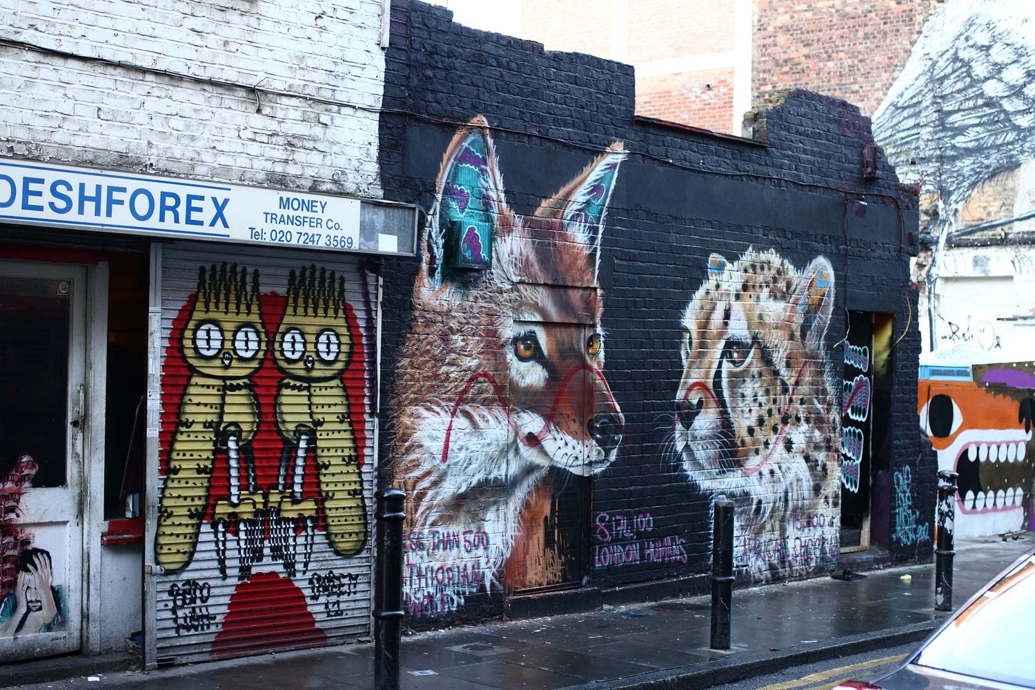 oeuvre murale renard guepard