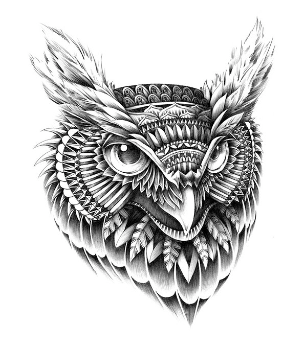 Ornate - owl head
