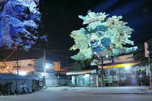 projection sur arbre