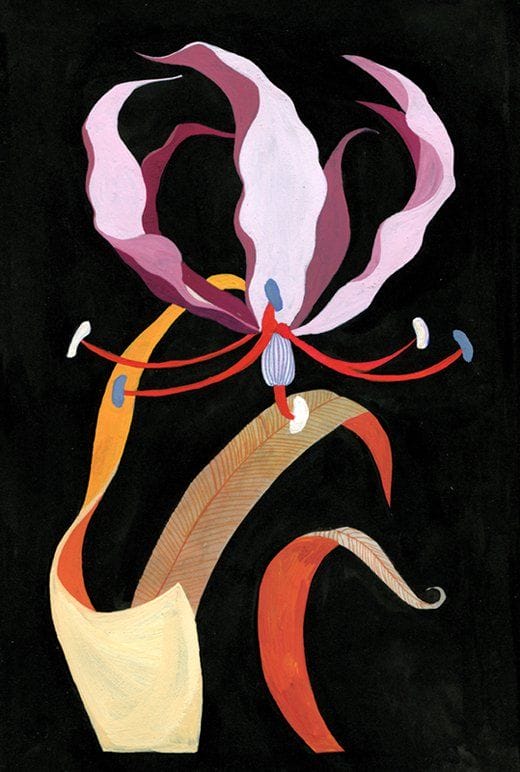 Blütezeit Luisa Rivera illustration
