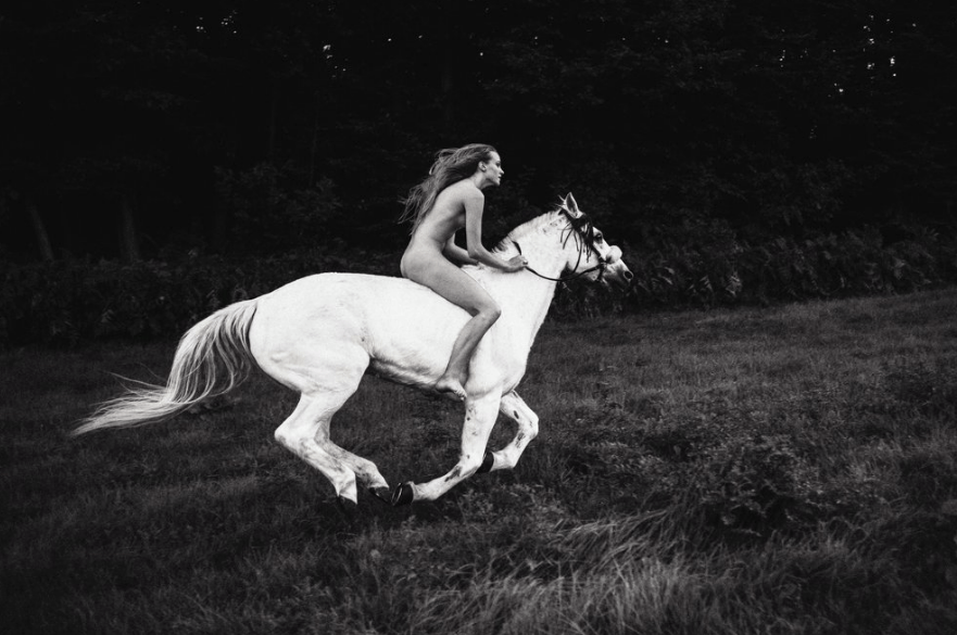 Maud Chalard photographie cheval