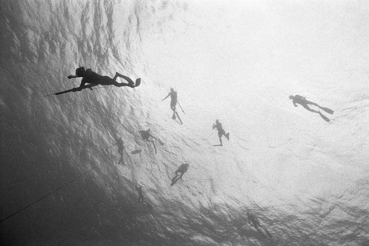 Free Dive une plongée photographique avec Kanoa Zimmerman 2