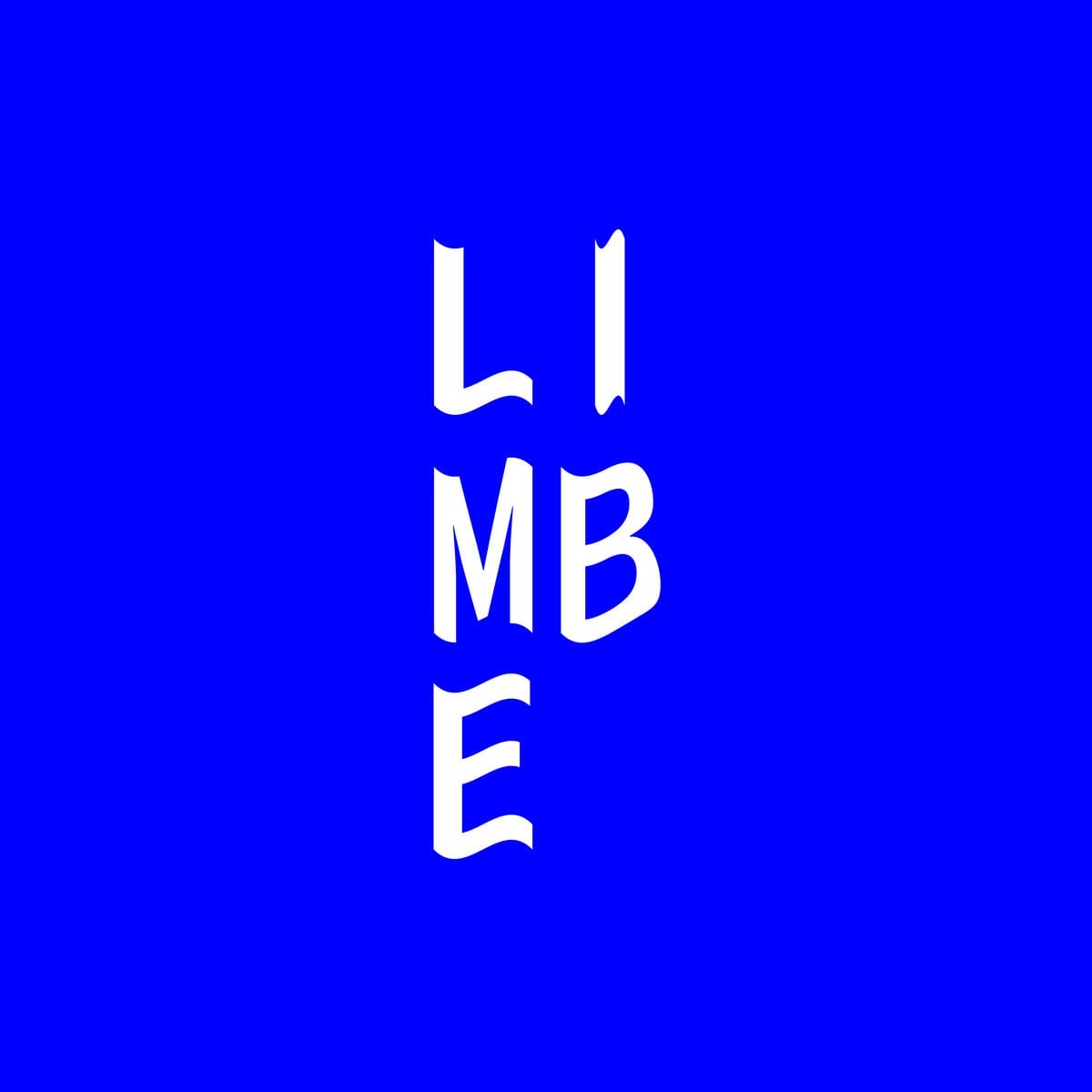 Entretien avec Robin, créateur du tout nouveau label "Limbe" 6