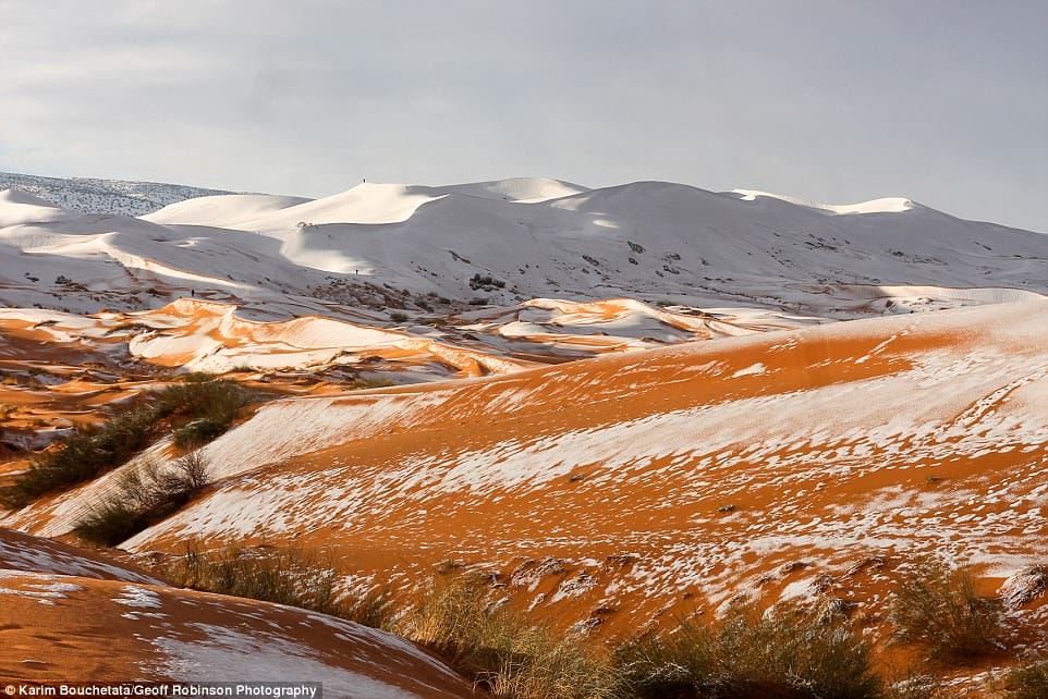 Pour la troisième fois en 40 ans la neige recouvre une partie du Sahara 20