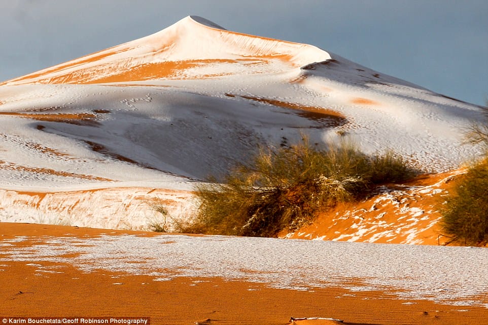 Pour la troisième fois en 40 ans la neige recouvre une partie du Sahara 21