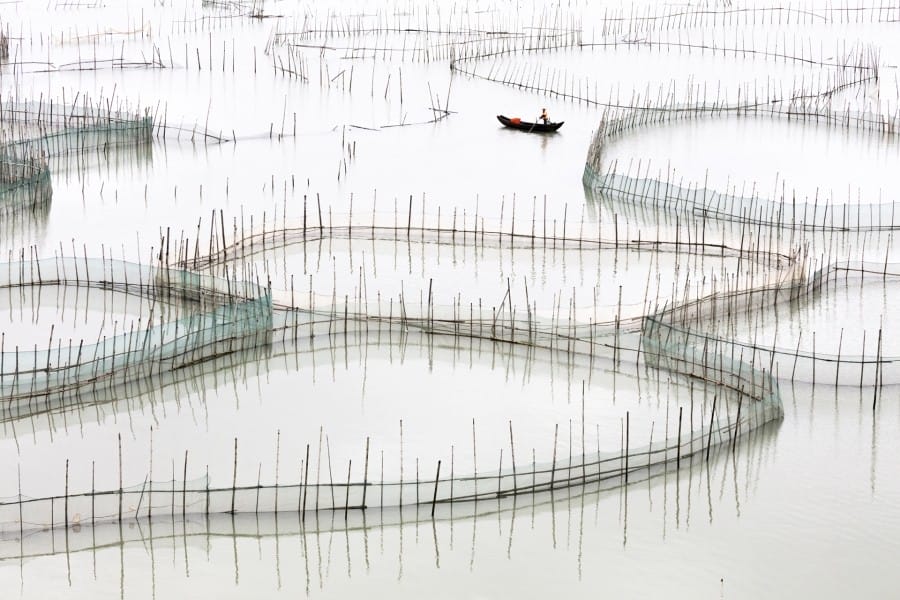 Coastal Geometries Organic - Fujian #17