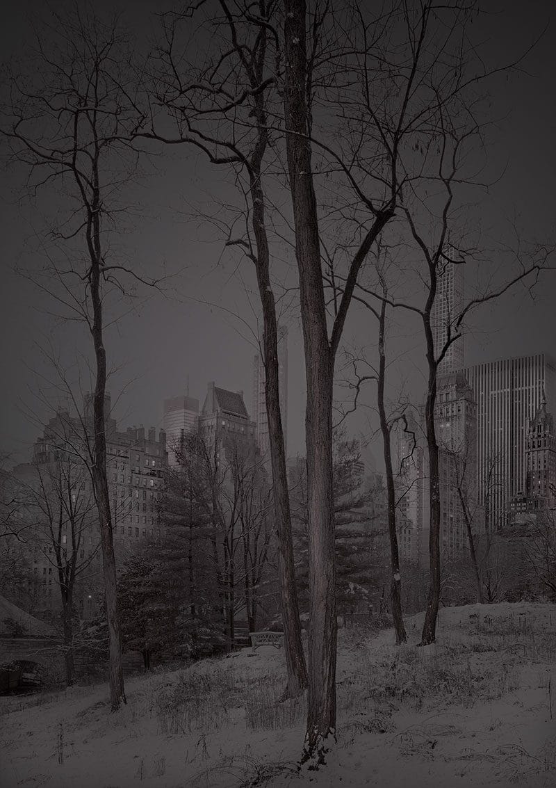 Deep In A Dream – La série de photos de Central Park prises de nuit par Michael Massaia 2