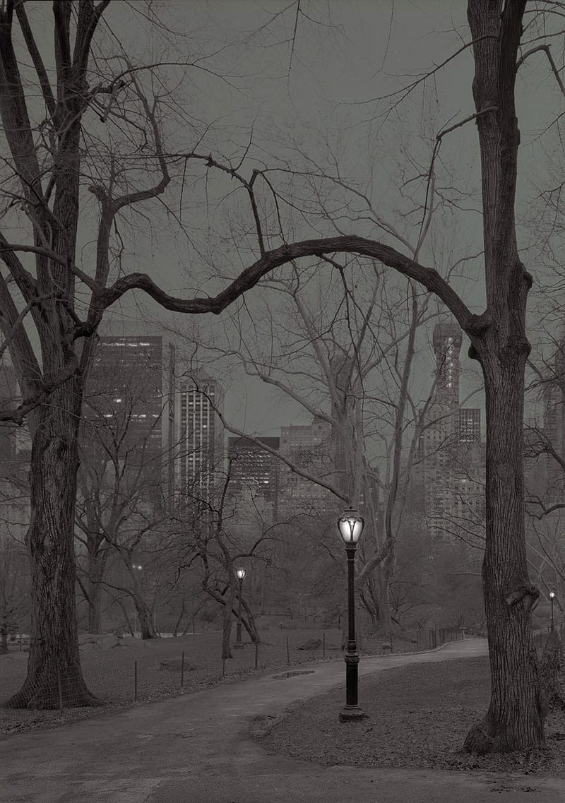 Deep In A Dream – La série de photos de Central Park prises de nuit par Michael Massaia 3