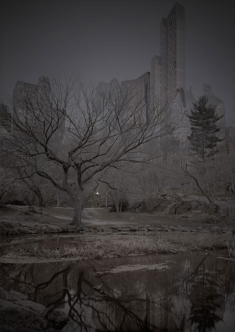 Deep In A Dream – La série de photos de Central Park prises de nuit par Michael Massaia 5