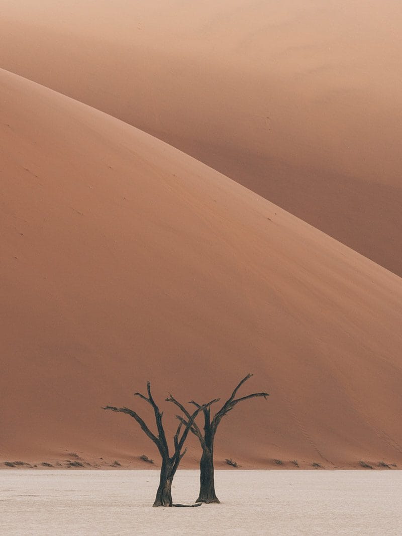 désert de namibie Chris Eyre-Walker Photography