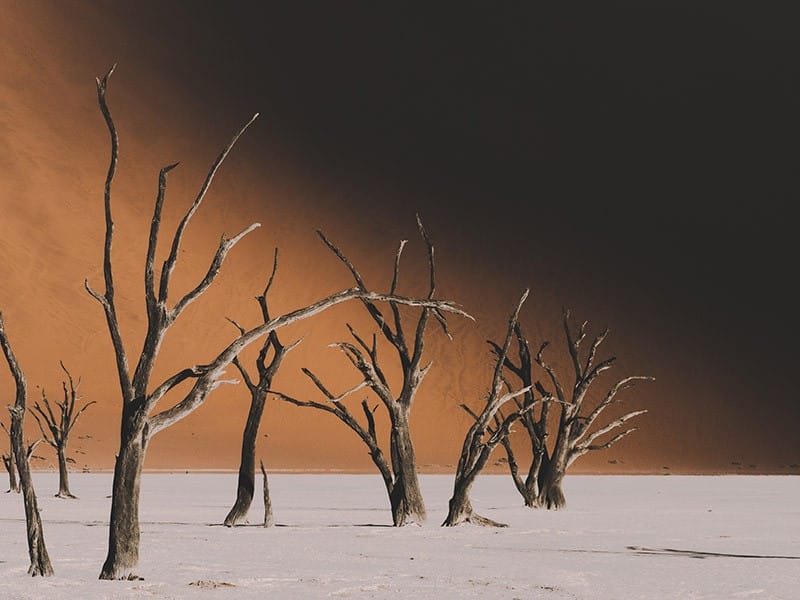 le désert de Namibie