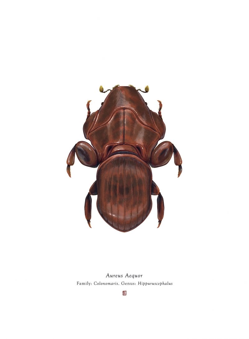 Anthopoda Iconicus, quand les insectes ressemblent aux personnages de Star Wars 15