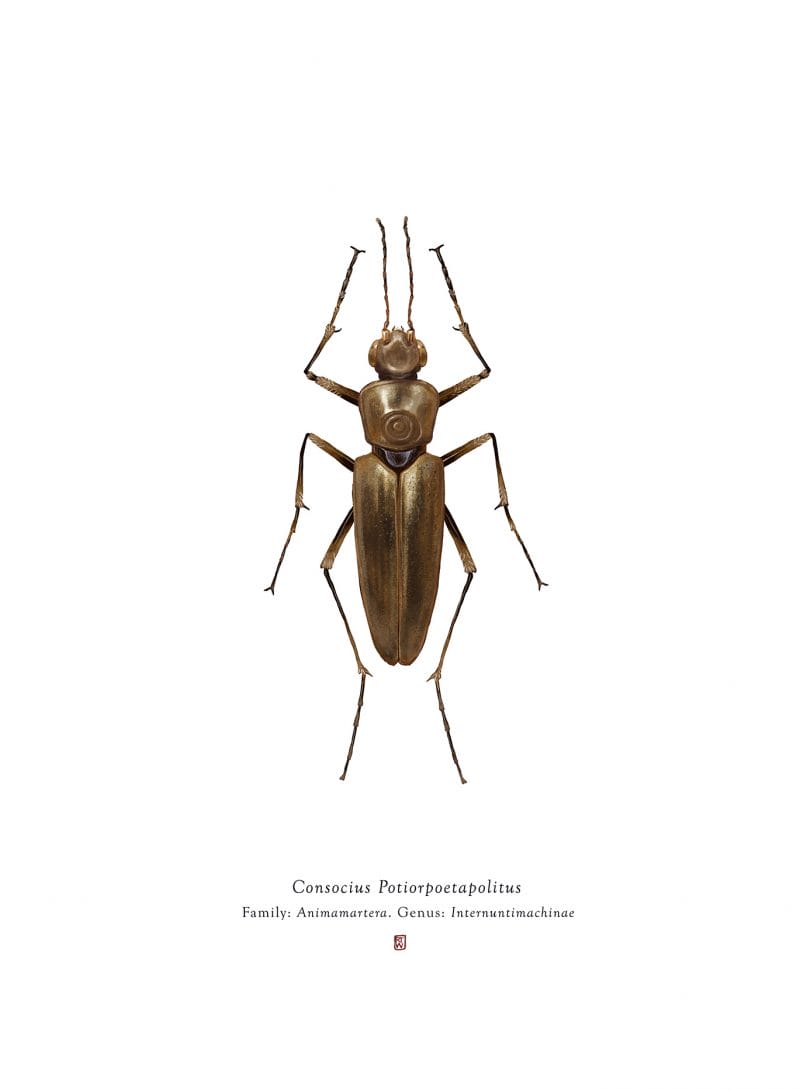 Anthopoda Iconicus, quand les insectes ressemblent aux personnages de Star Wars 18