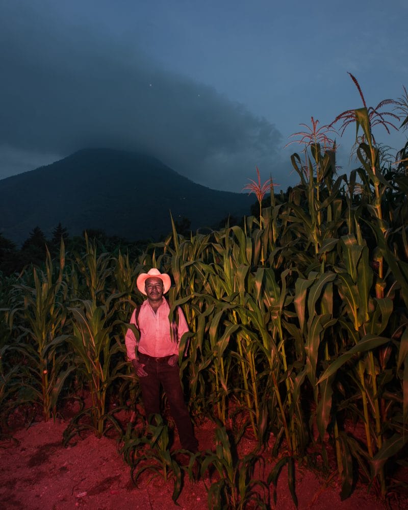 Agriculteur dans son champ de maïs, RoadTrip guatemala, Benoit Paillé