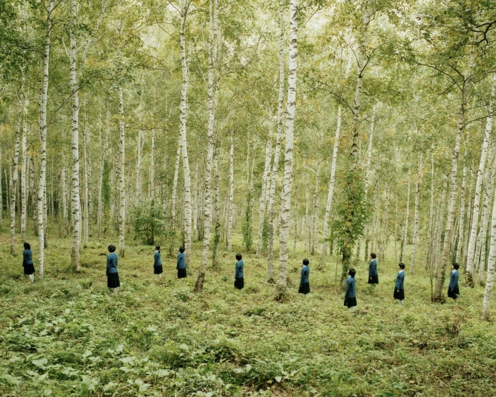En pleine forêt série Assembly  par le photographer Osamu Yokonami