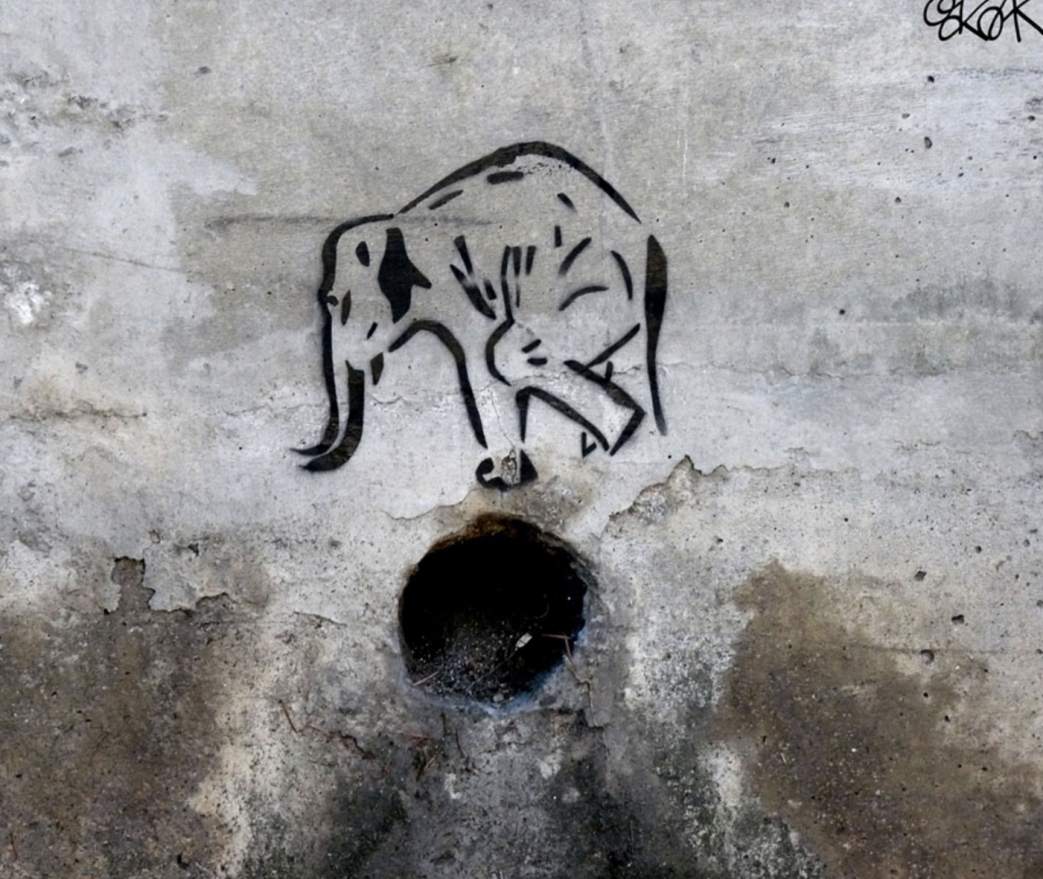 Eléphant sur sa balle - peinture réalisée par OakOak