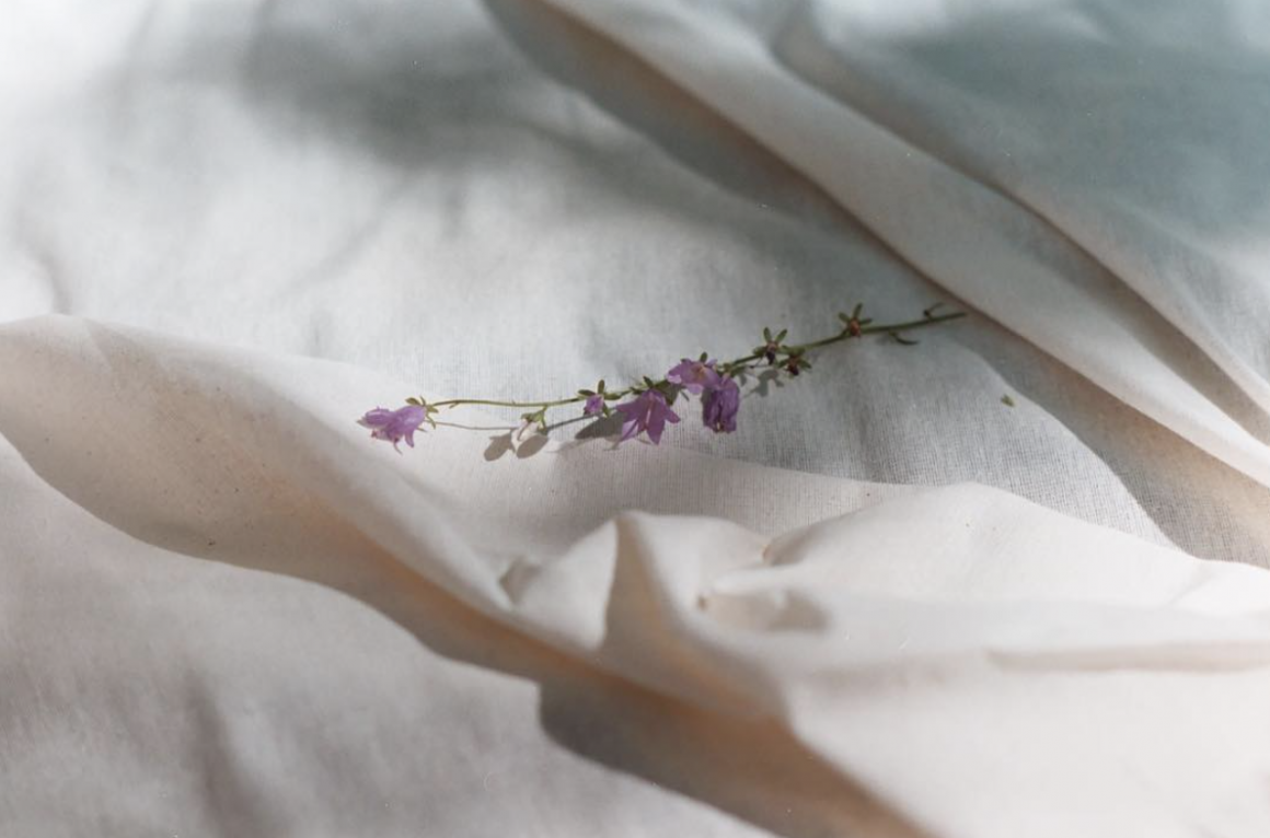 photographie prise par Mariam Sitchinava