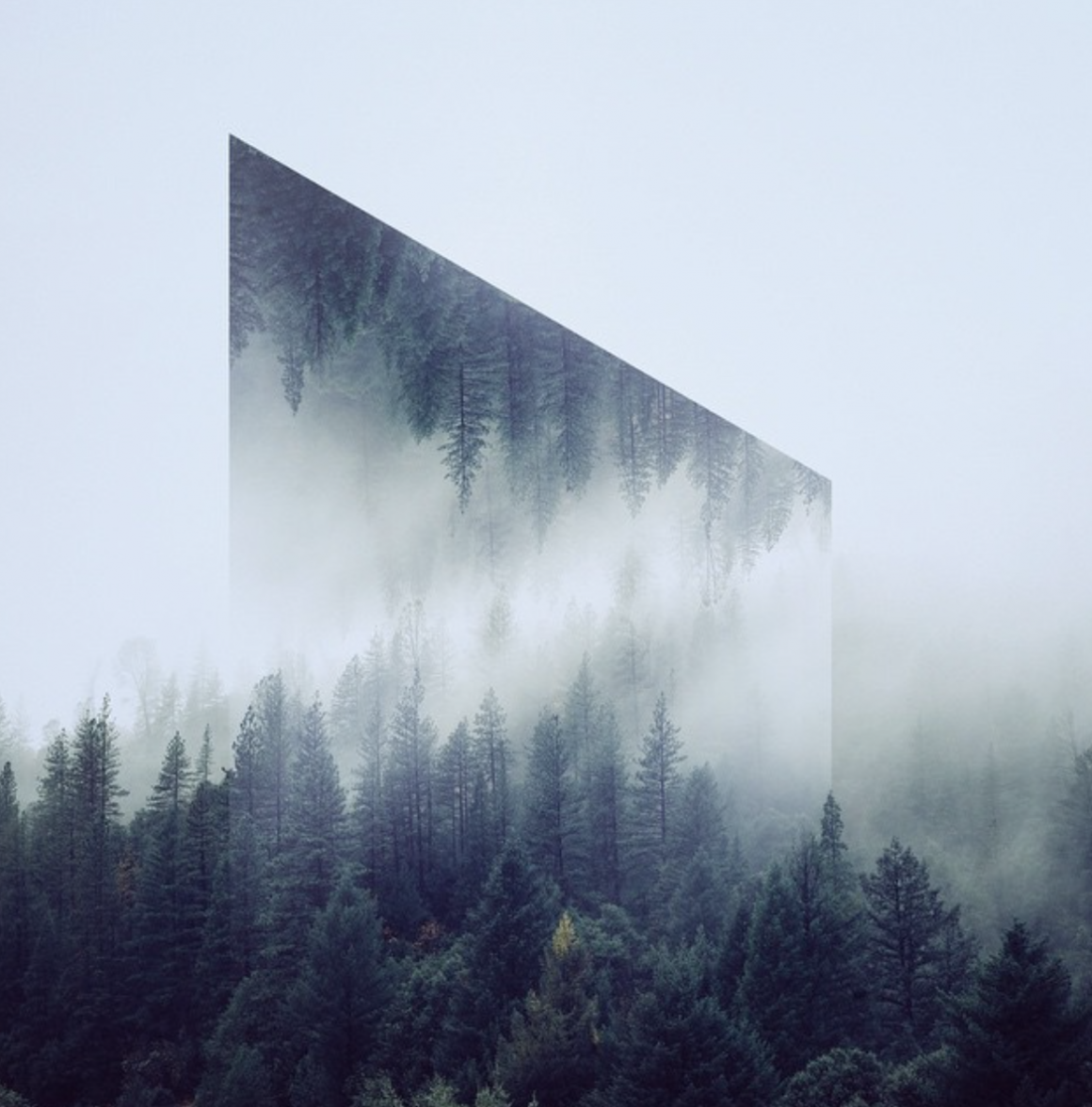 Geometric Reflections réalisée par Witchoria - Forest