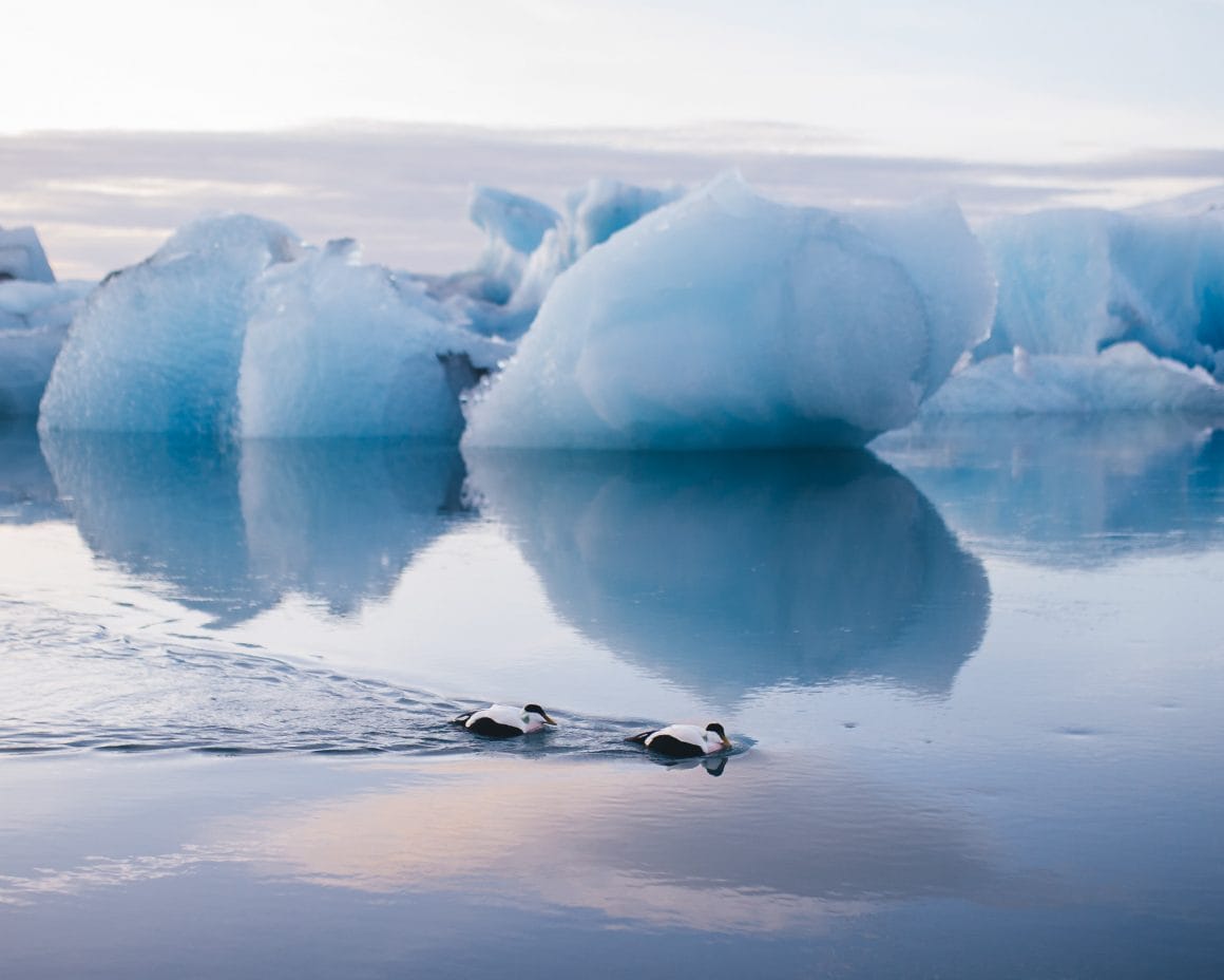 photographie des glaciers islandais réalisée par Sarah Bethea