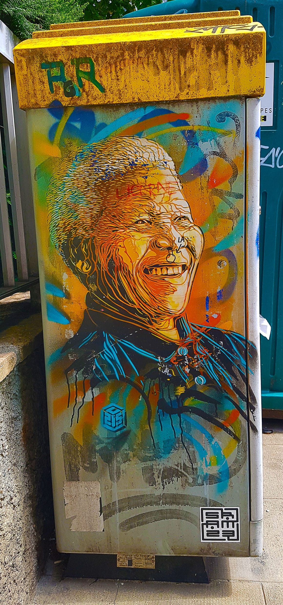 portrait de Nelson Mandela 