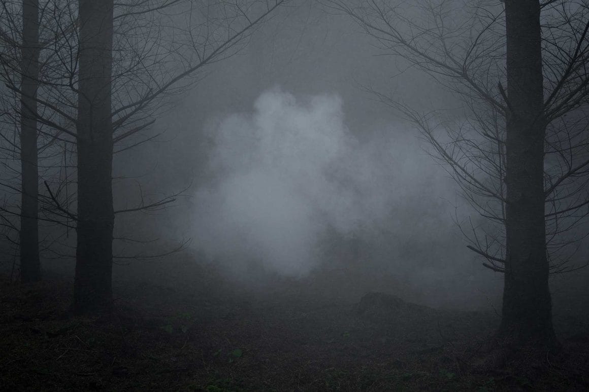 une brume inquiétant qui flotte au sein d'une forêt par le photographe Ellie Davies