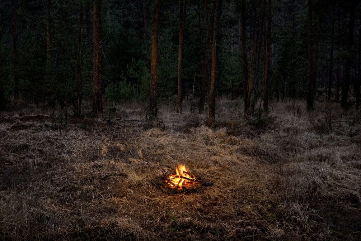 feu de camp allumé en pleine forêt photo par Ellie Davies