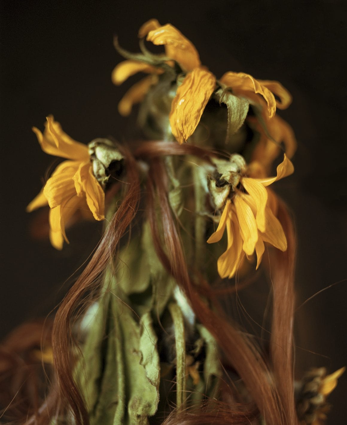 photo de cheveux noués autour d'une fleur 