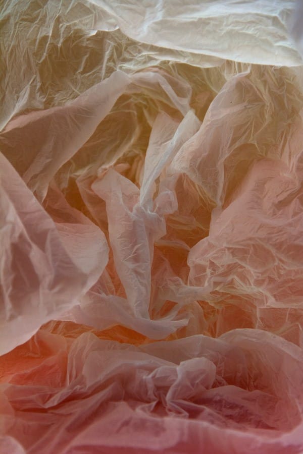 Photographie d'un sac plastique réalisée par Vilde Rolfsen