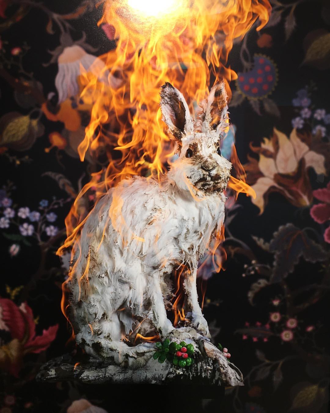 photo d'un animal empaillé sous les flammes Residence of Impermanence