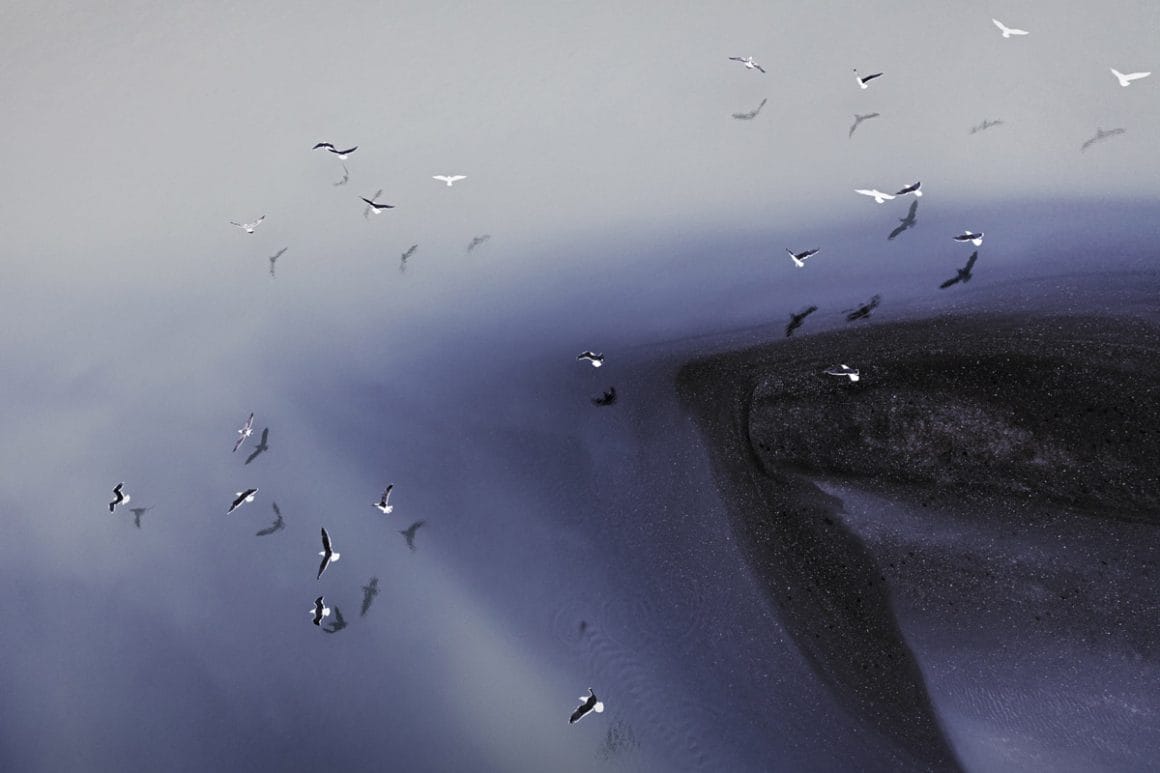 Vue aérienne d'un paysage en Islande, eau et oiseaux. 