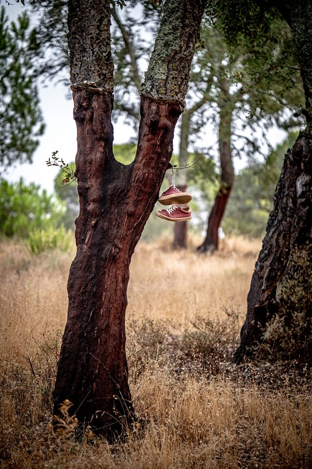 Photographie d'un chêne-liège avec les sneakers "Le Petit Gascon" de couleur rouge et en coton. Les sneakers sont accrochées dans l'arbre.
