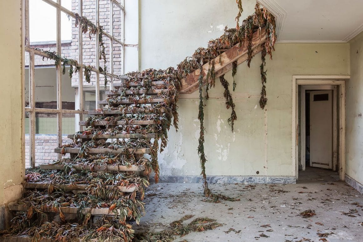 Escalier et son tapis de plantes mortes Home Gohar Dashti.