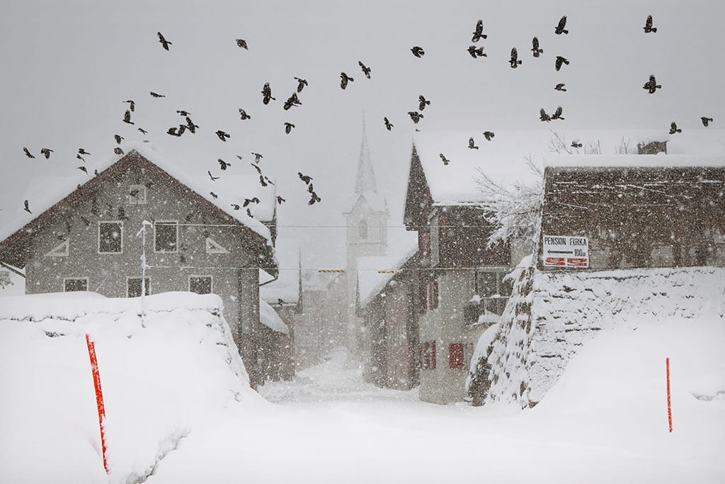 ville sous la neige avec des pigeons la  par le photographe Christophe Jacrot