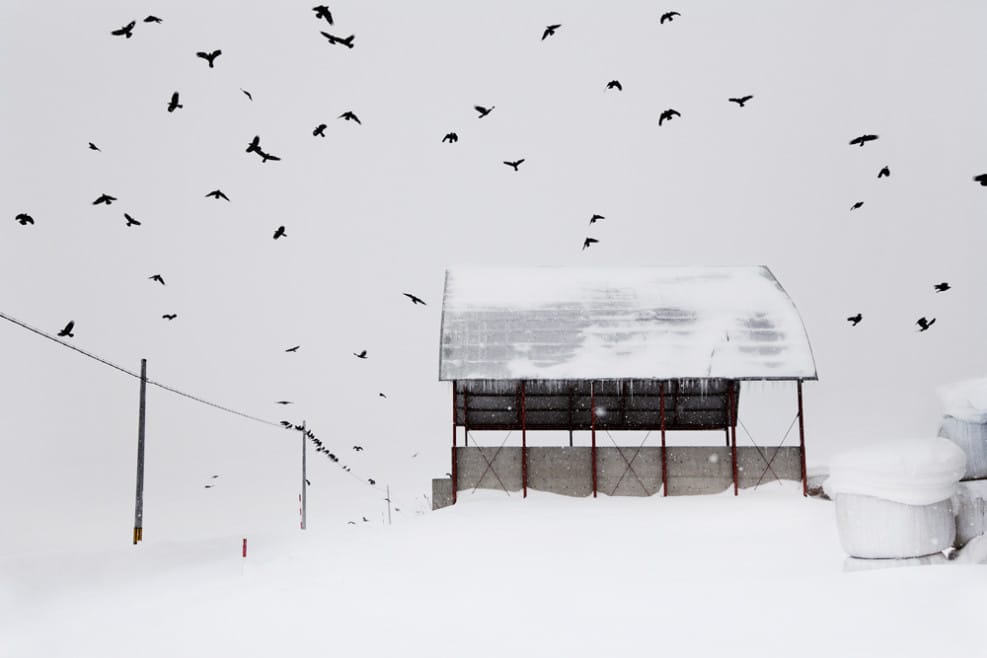 Christophe Jacrot, photographie issue du livre d'art "Neiges", Hokkaido, Japon.