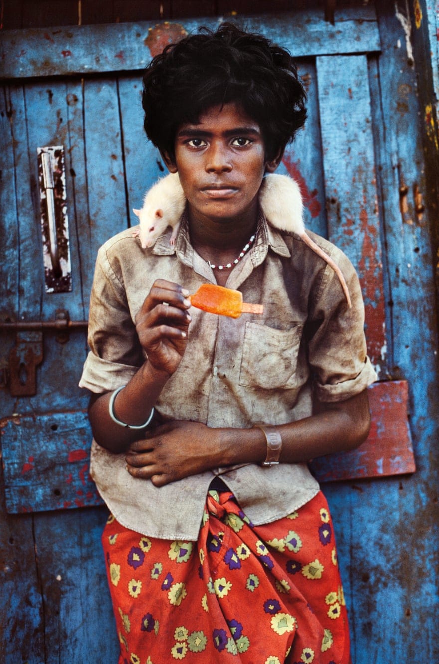 Steve McCurry, "Animals". Photographies publiées aux Editions Taschen, Inde, 1996.