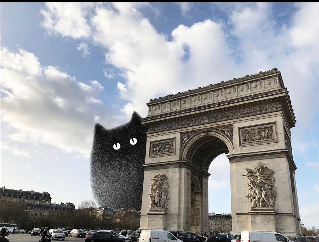 Montage montrant un des chats de Kamwei Fong à côté de l'arc de triomphe parisien, montage de l'artiste. 