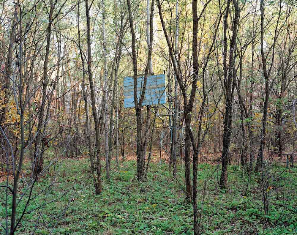 David Mcmillan, forêt avec installation en bois et métal. 