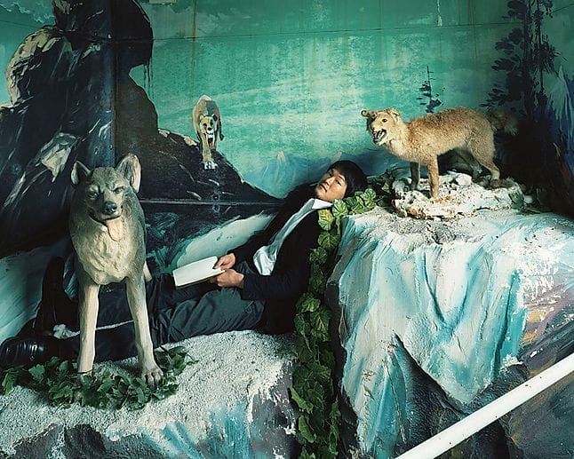 photographie d' un homme avec deux loups empaillés dans un intérieur en ruine dans les tons bleu/ vert. 