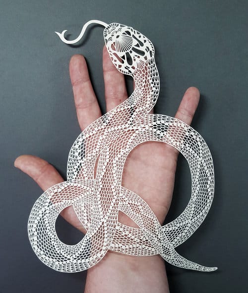 serpent, œuvre en papier par Pippa Dyrlaga