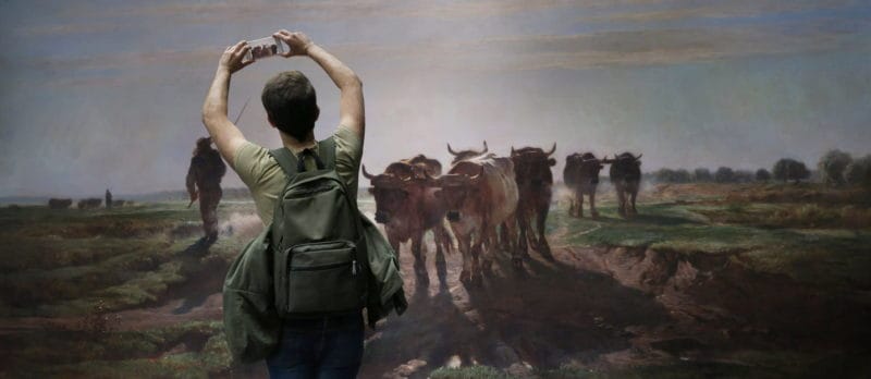 Museal Michel Gantner homme prend photo vaches