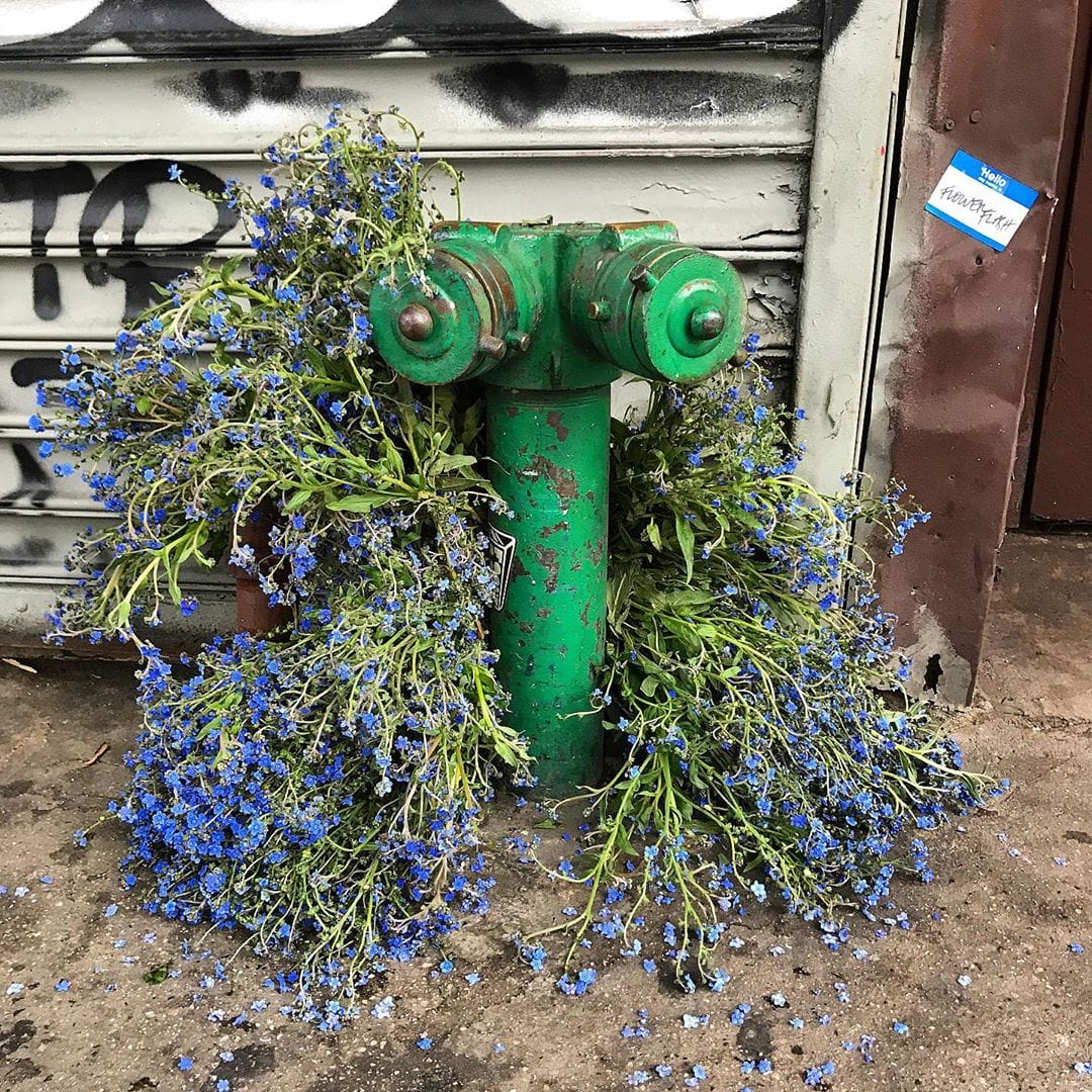 fleurs bleu fanées pompe eau incendie Lewis Miller Instagram 