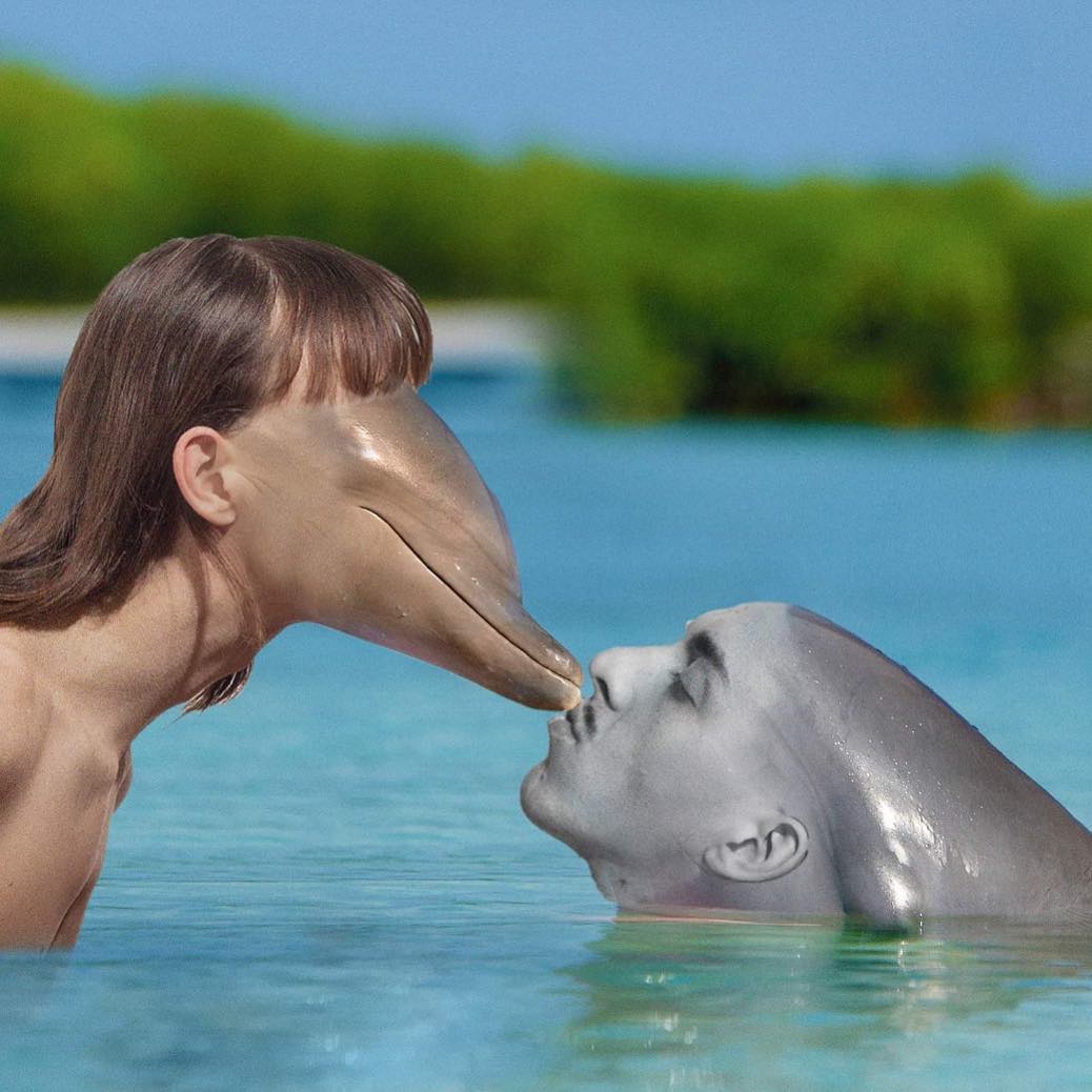 dauphin gris bisous tommy cash déguisé en dauphin 