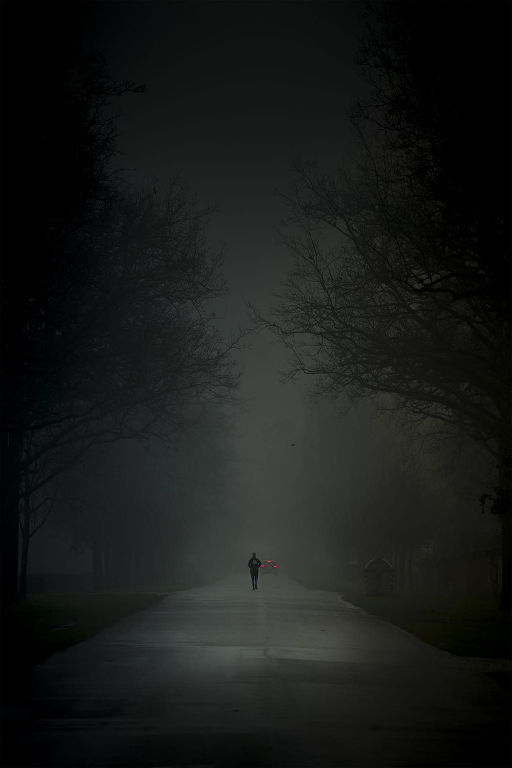 photo dans la brume route