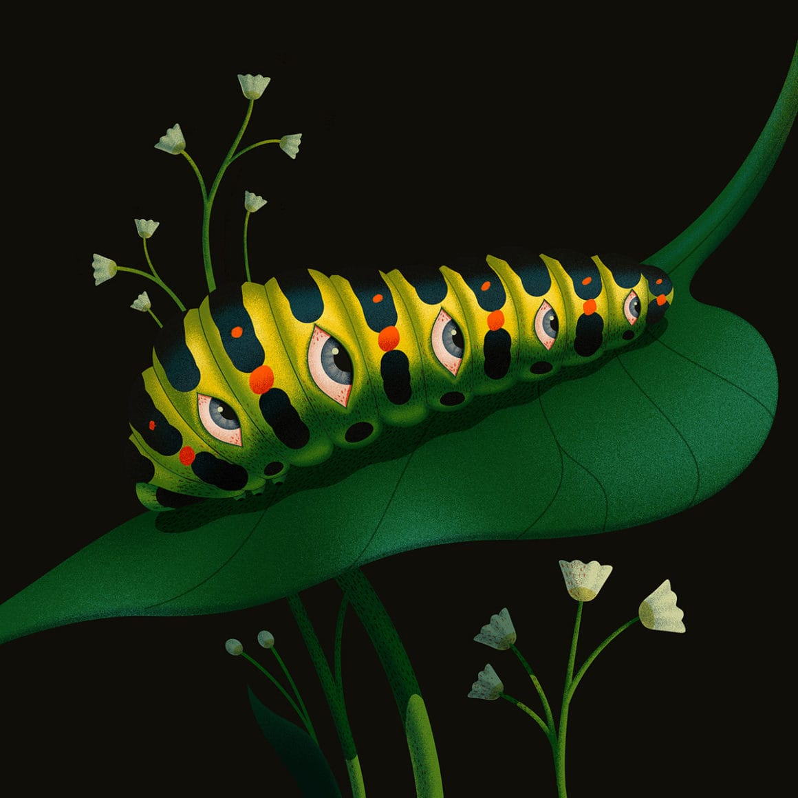 Caterpillar par Ana Miminoshvili pour sa série Blooming Eyes
